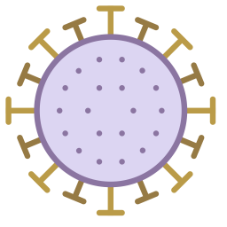 Coronavirus Update